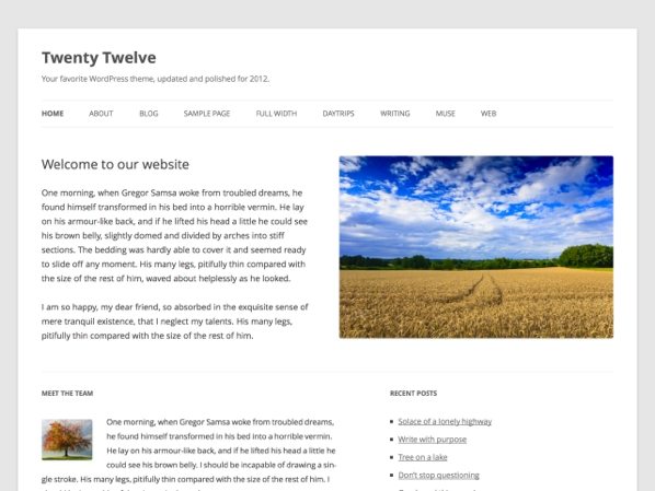 Twenty Twelve WordPress sablon